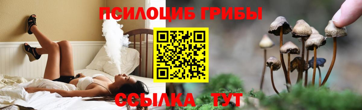 Грозный  Галлюциногенные грибы Magic Shrooms  Вход с VPN 